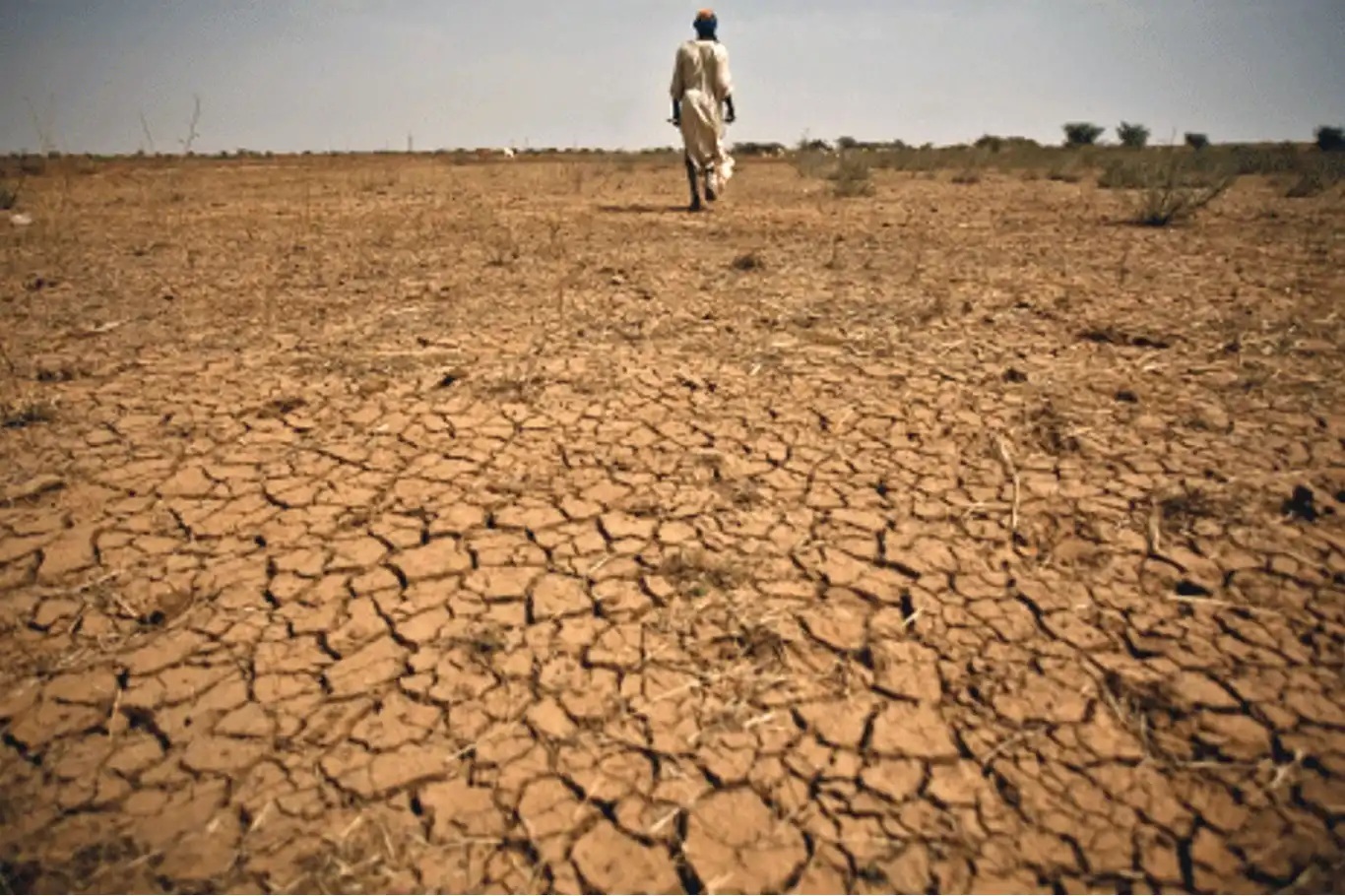 Pasifik’te “süper El Nino” alarmı 