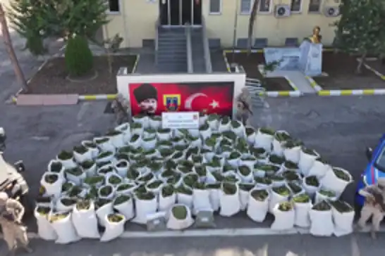 Diyarbakır'da 2 ton 200 kilogram esrar ele geçirildi