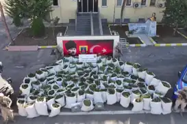 Diyarbakır'da 2 ton 200 kilogram esrar ele geçirildi