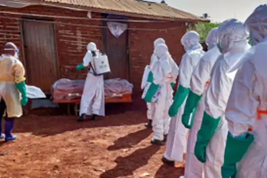Afrika'da ebola vakaları nedeniyle, bölgesel hazırlıkların artırılması çağrısı yapıldı
