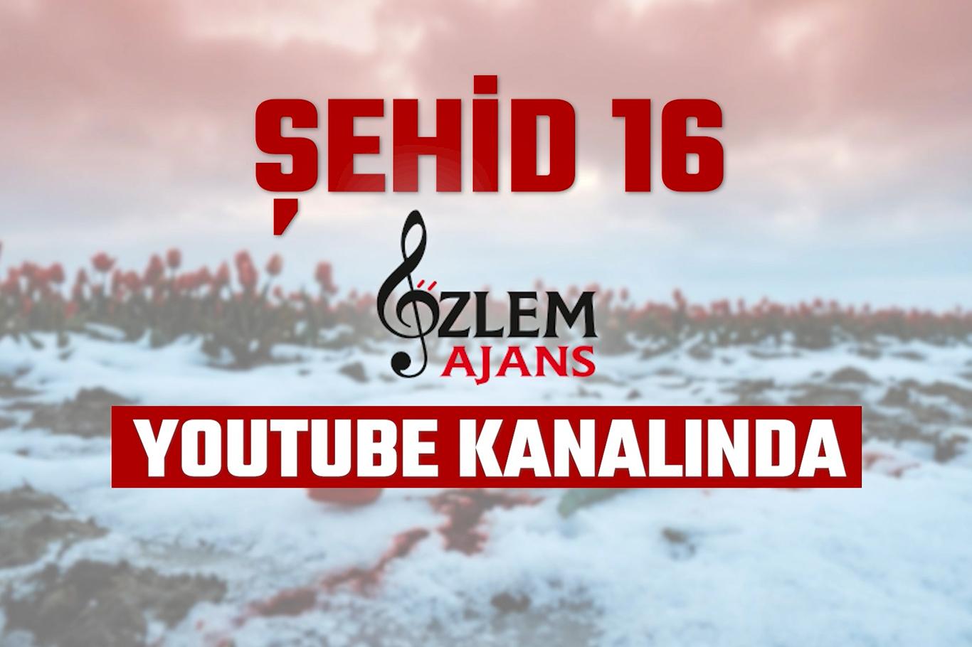 Özlem Ajans'tan yeni albüm çalışması: Şehid 16 çok yakında yayında