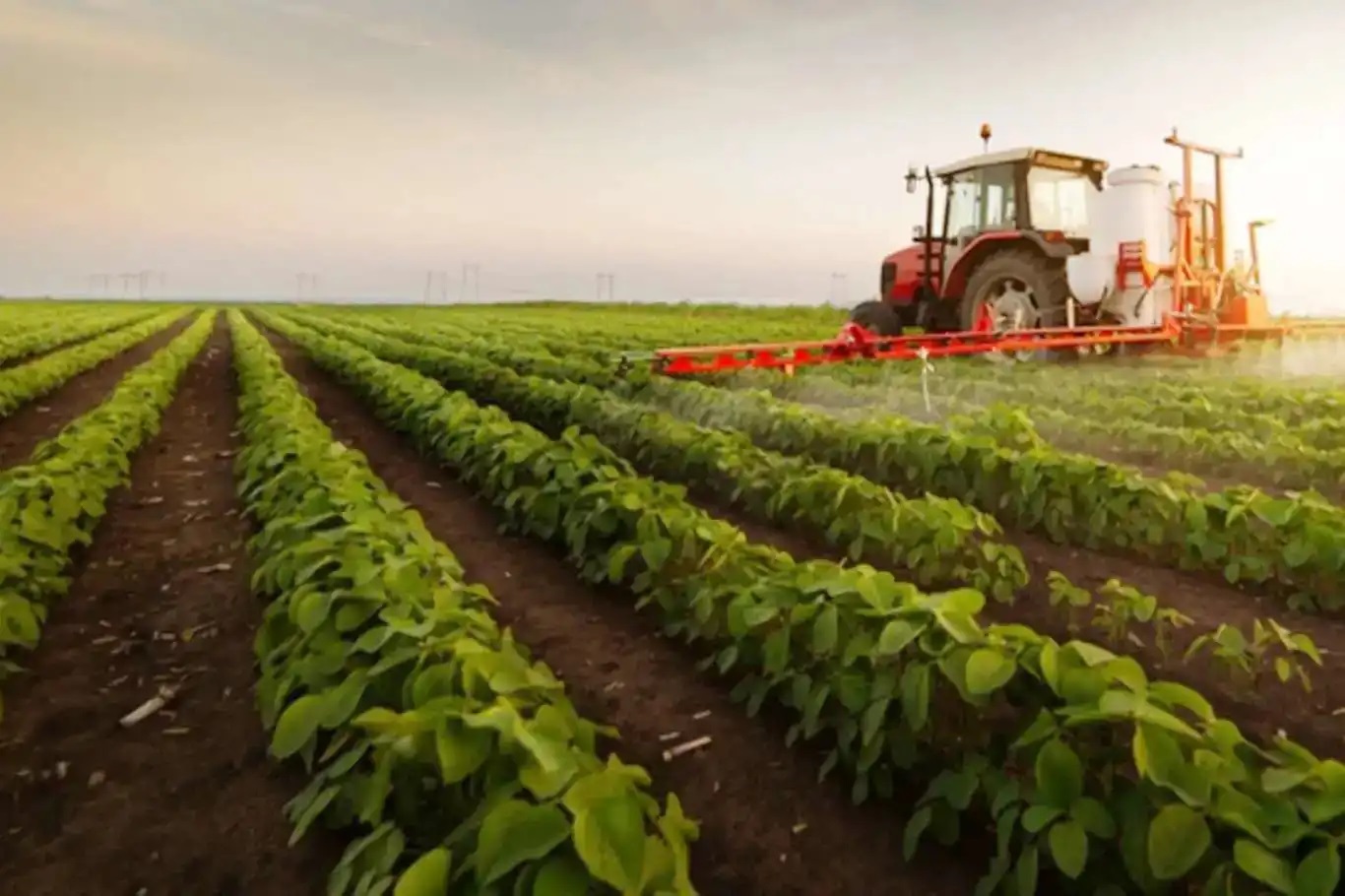 Türkiye’s agricultural input prices rise 33.15% annually in December