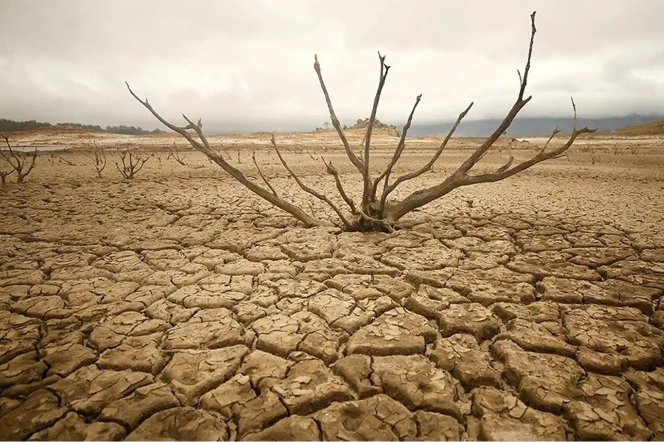 South Africa declares drought and water shortages a national disaster