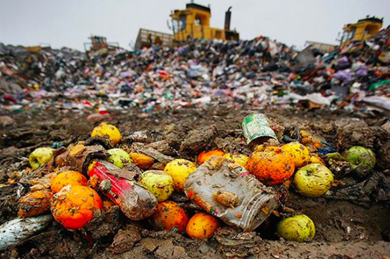 43 million children face severe hunger as global food waste soars
