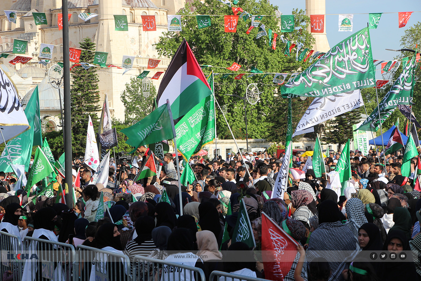 صورة
