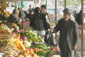 ESCWA warns 5 million more people in Arab countries at risk of hunger amid US-Israeli aggression on Iran 