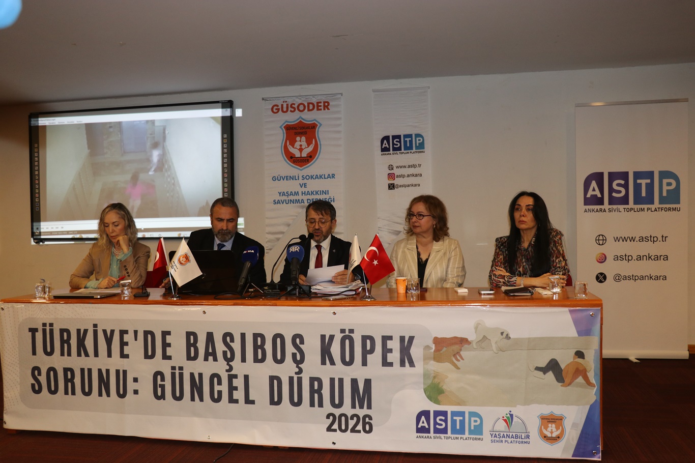 “Türkiye’de Başıboş Köpek Sorunu” panelinde güncel durum ele alındı