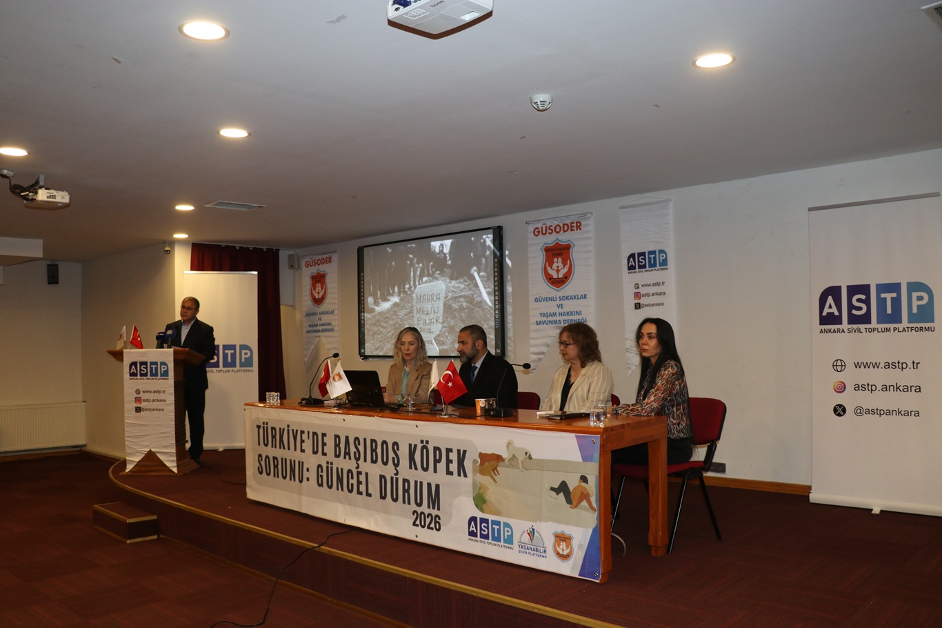 “Türkiye’de Başıboş Köpek Sorunu” panelinde güncel durum ele alındı