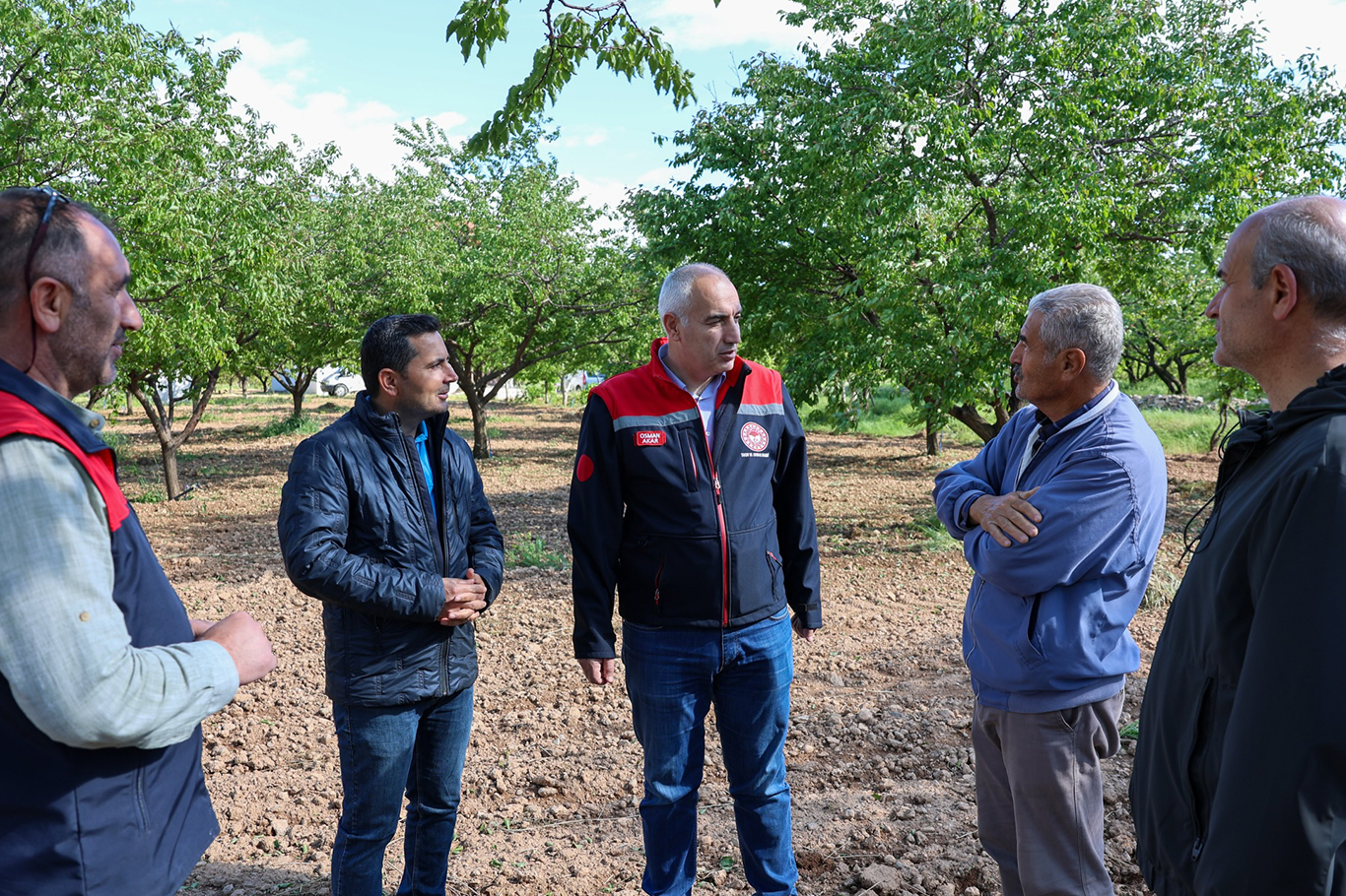 Malatya'da dolu yağışından zarar gören kayısı bahçelerinde inceleme