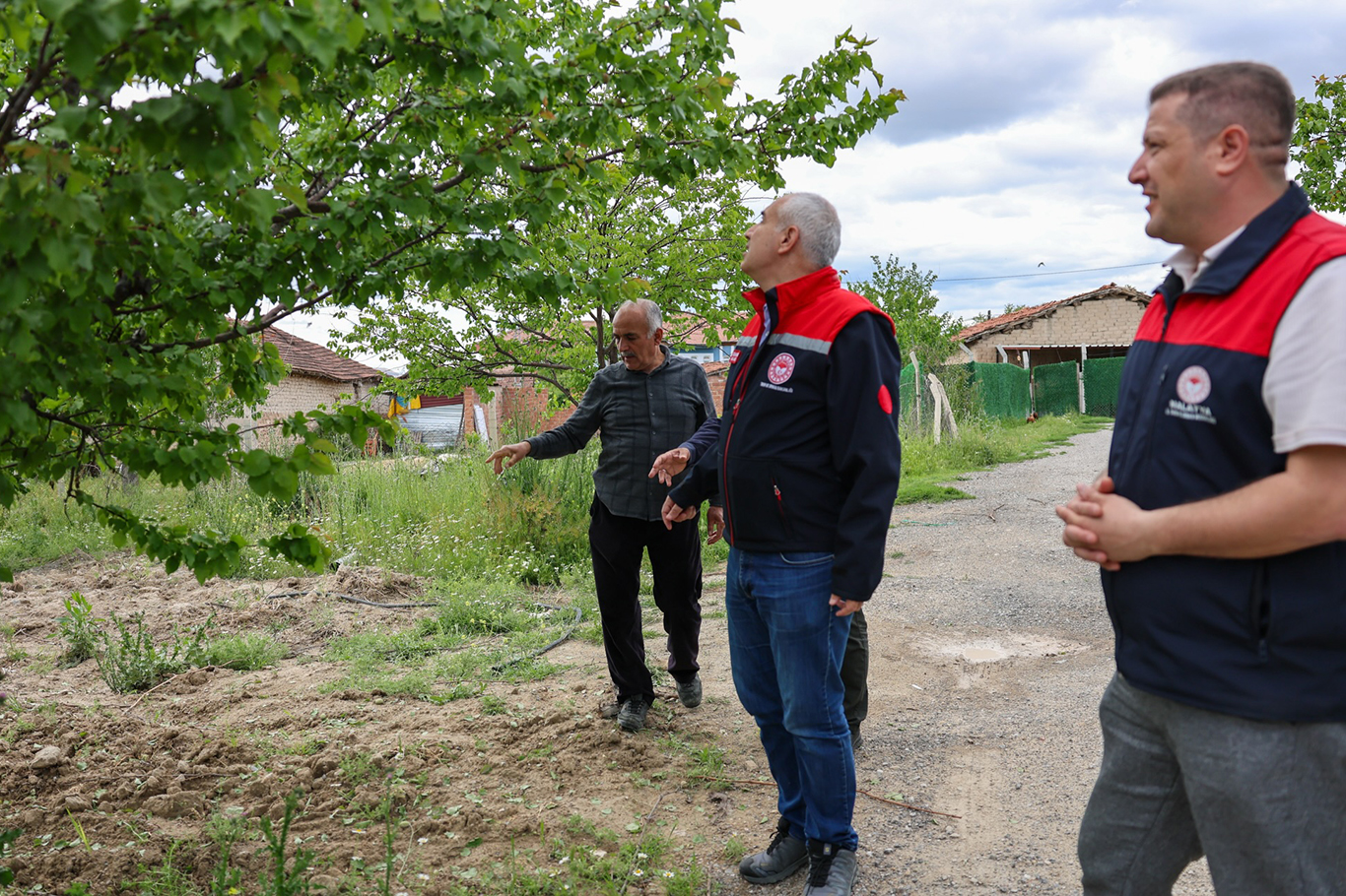 Malatya'da dolu yağışından zarar gören kayısı bahçelerinde inceleme