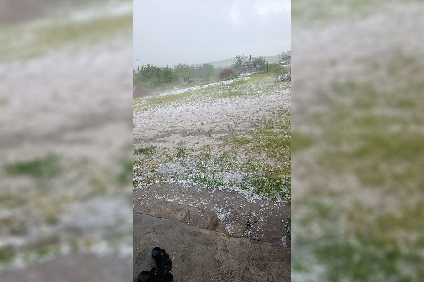 Şanlıurfa’da sağanak ve dolu yağışı tarım arazilerine zarar verdi