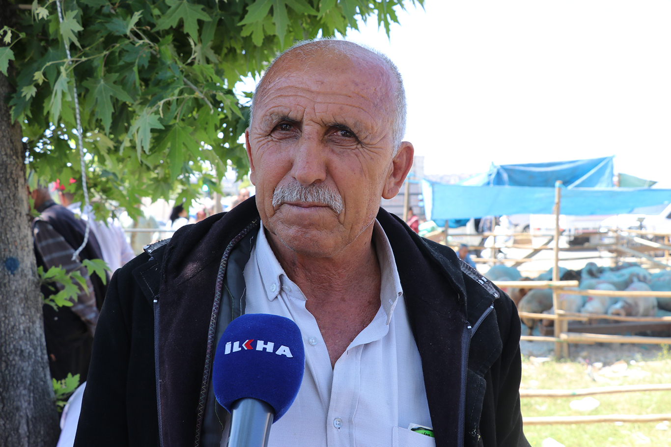 Fazlı Harman