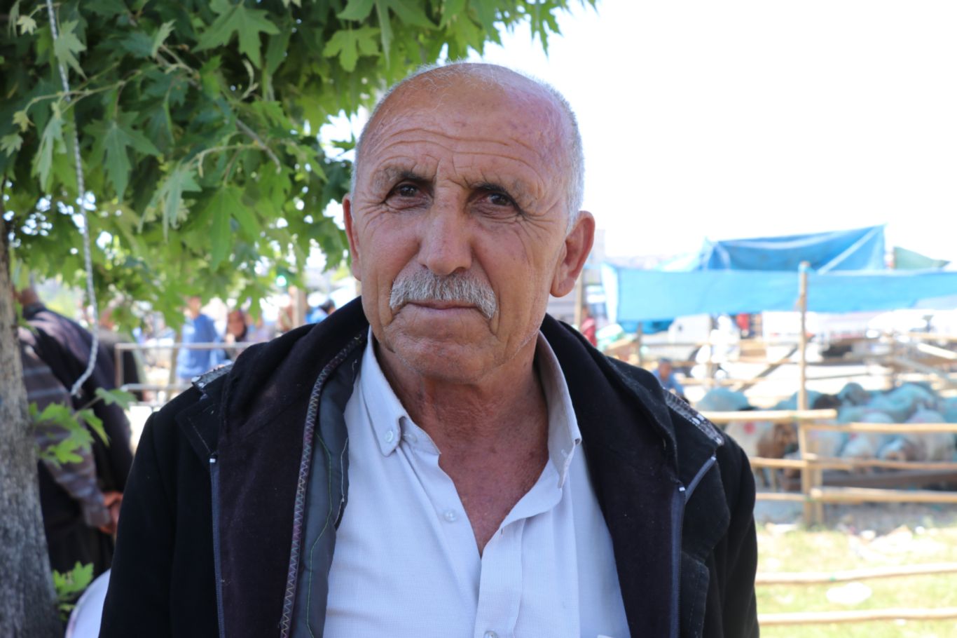 Fazlı Harman