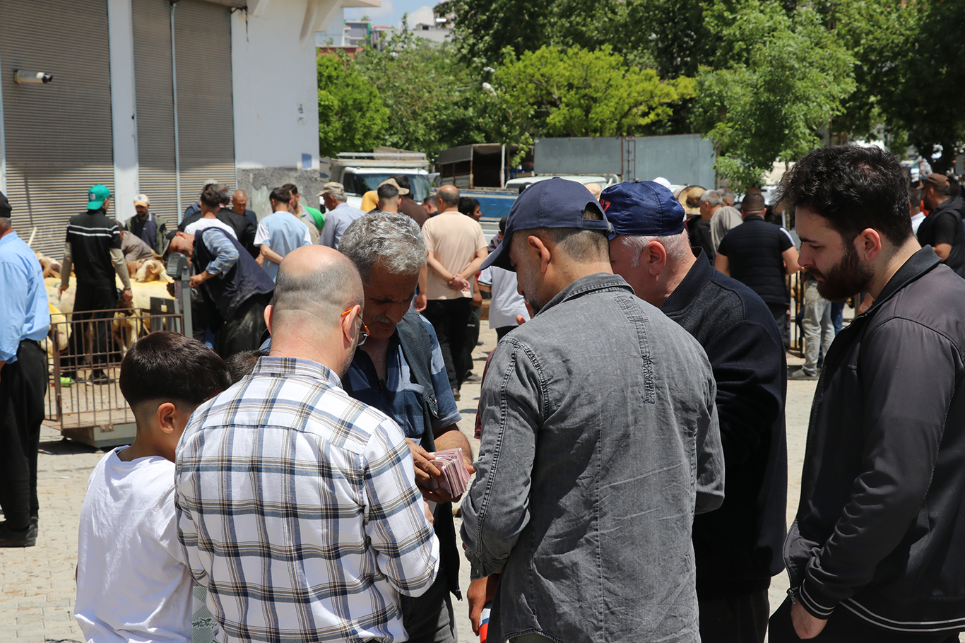 Gaziantep'te kurban pazarlarında yoğunluk devam ediyor: Vatandaşlar fiyatları yüksek buluyor