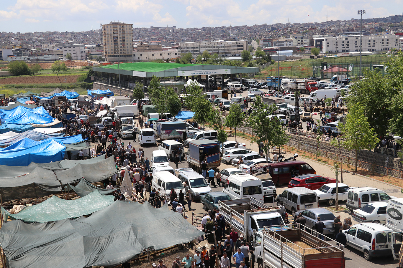 Gaziantep'te kurban pazarlarında yoğunluk devam ediyor: Vatandaşlar fiyatları yüksek buluyor
