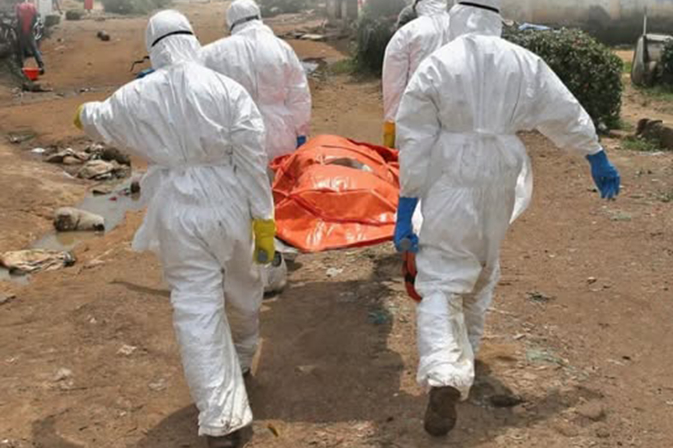 WHO warns conflict in DR Congo is fueling deadly Ebola outbreak