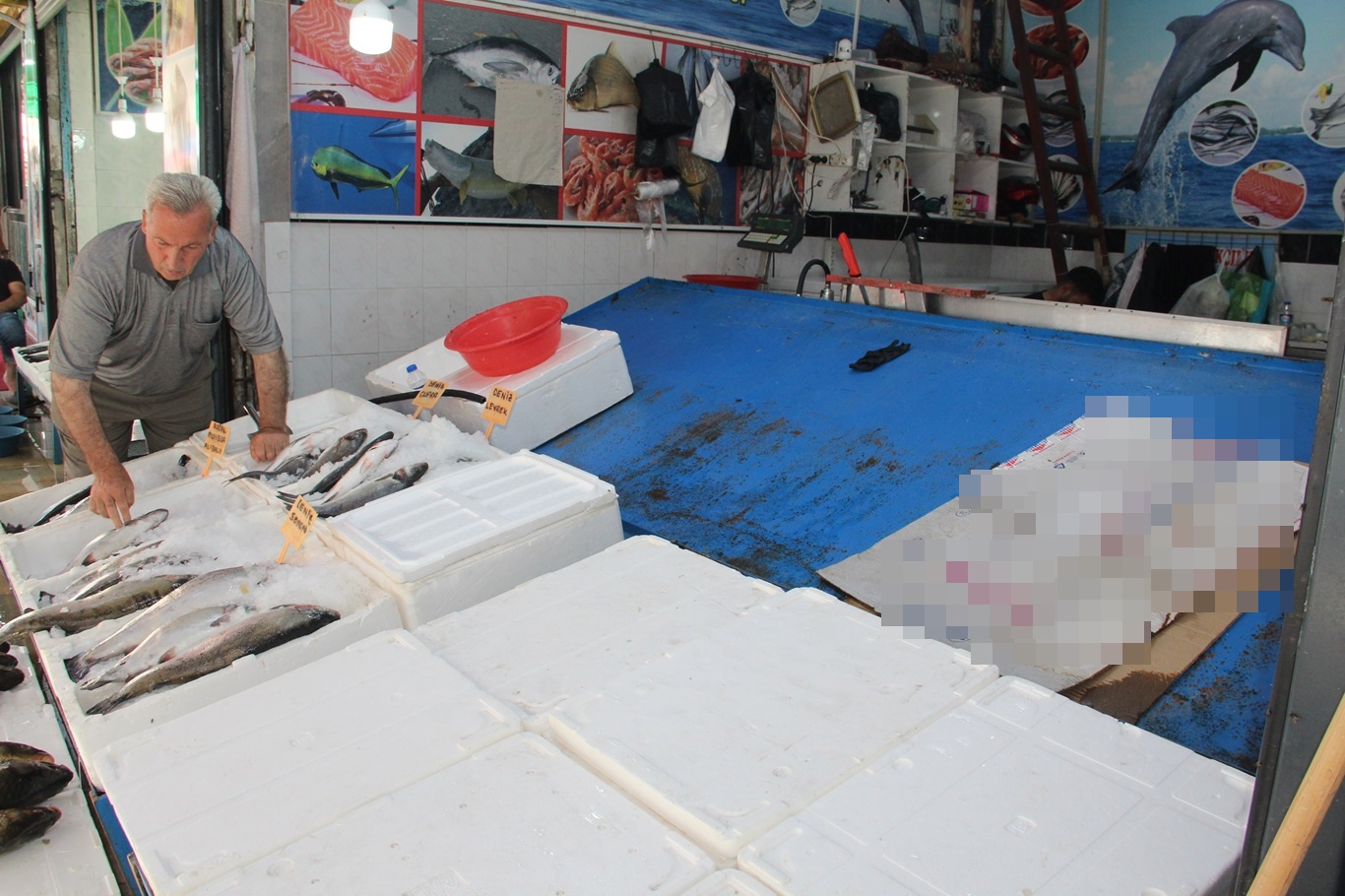 Balıkçı esnafı sezonu değerlendirdi: Şu anda çupra, levrek, somon ve alabalık var