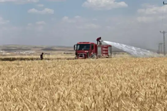 Mardin’de yaklaşık 300 dönüm ekili alan yandı 