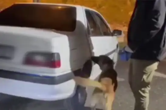 Erzurum'da 27 kilogram likit metamfetamin ele geçirildi