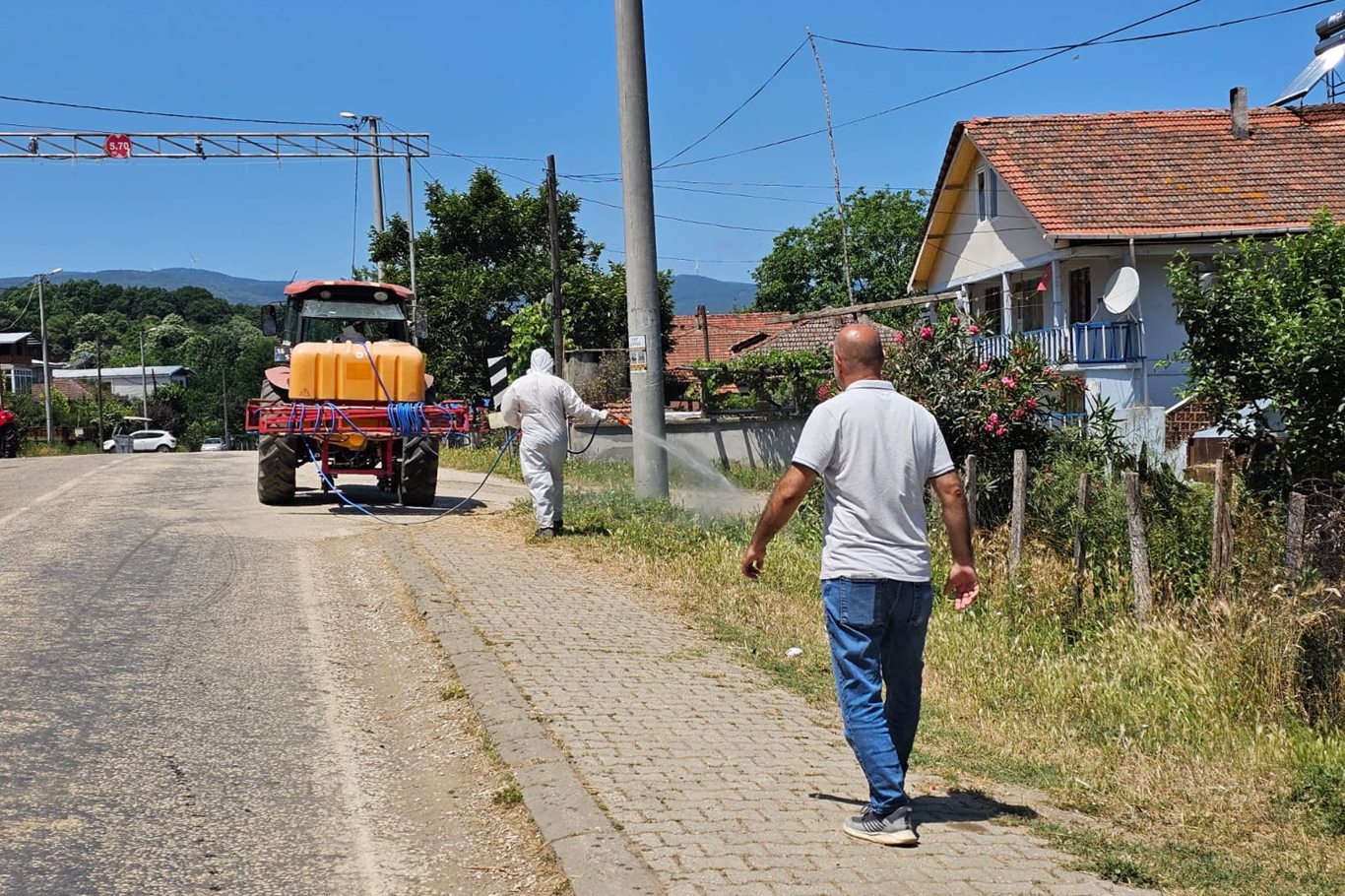 Bursa'da kahverengi kokarca zararlısına karşı ilaçlama yapıldı