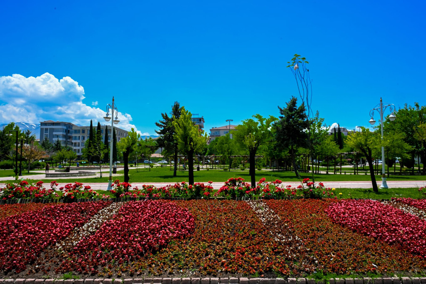 Malatya'da parklar ve kavşaklar çiçeklerle süslendi 