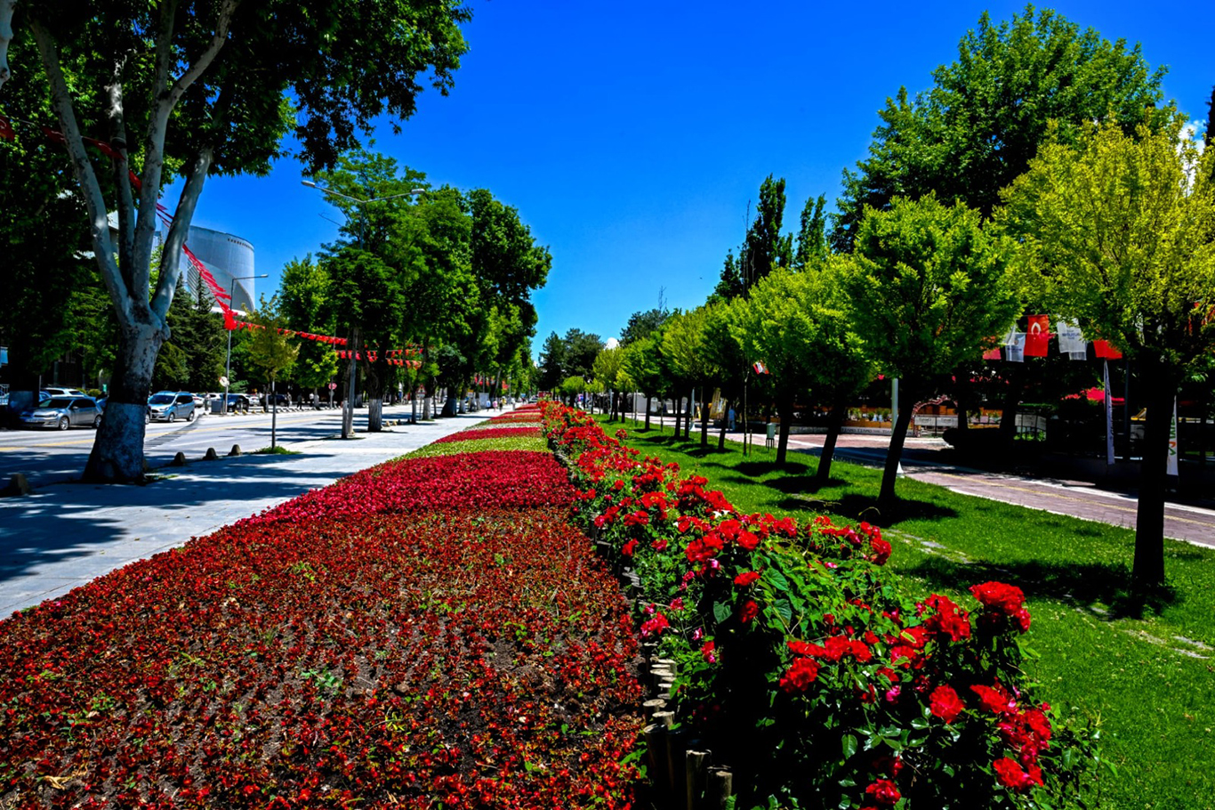 Malatya'da parklar ve kavşaklar çiçeklerle süslendi 