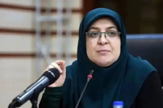 مهاجرانی: میدان و دیپلماسی در کنار هم از ایران دفاع می‌کنند