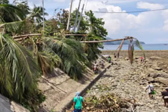 Philippines earthquake lifts seabed by two meters, exposing coral reefs and seagrass beds