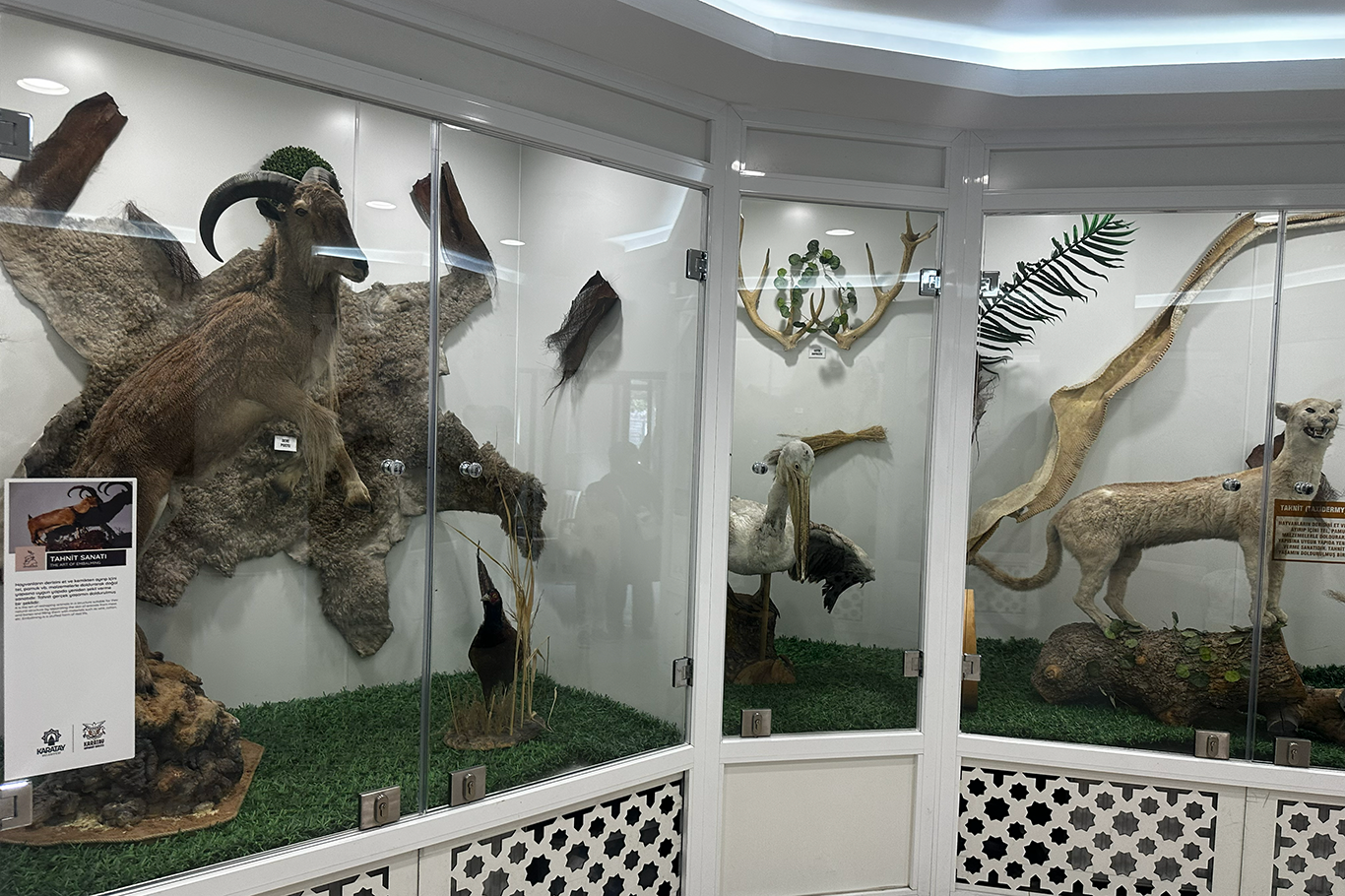 Konya’da havalar ısındı, vatandaşlar park ve hayvanat bahçelerine akın etti