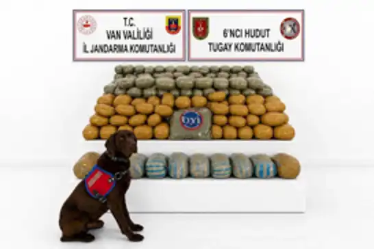 Van'da 291 kilo toz esrar ele geçirildi: Bir tutuklama