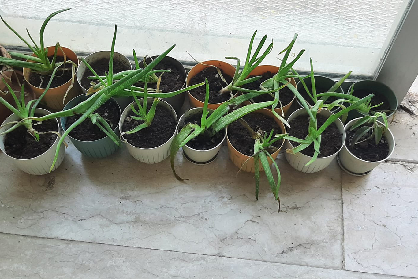 Dicle Üniversitesi’nde geri dönüşümden Filistin temalı anlamlı proje