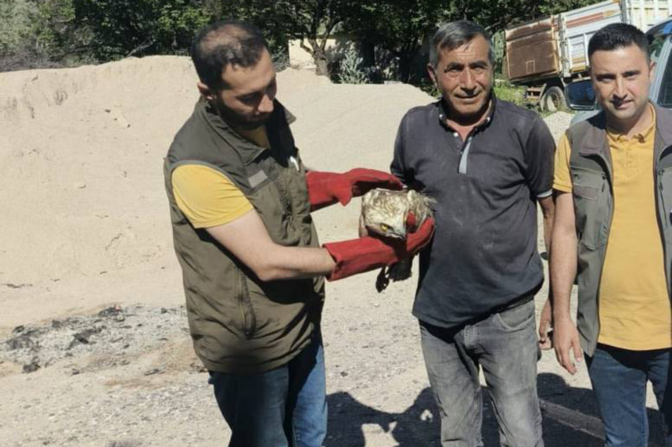 Malatya'da yaralı yılan kartalı koruma altına alındı