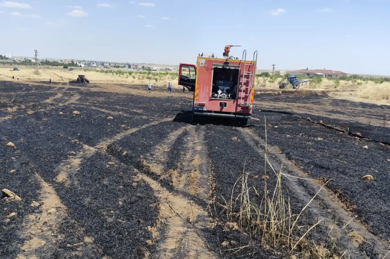 Mardin'de 40 dönüm ekili alan yandı