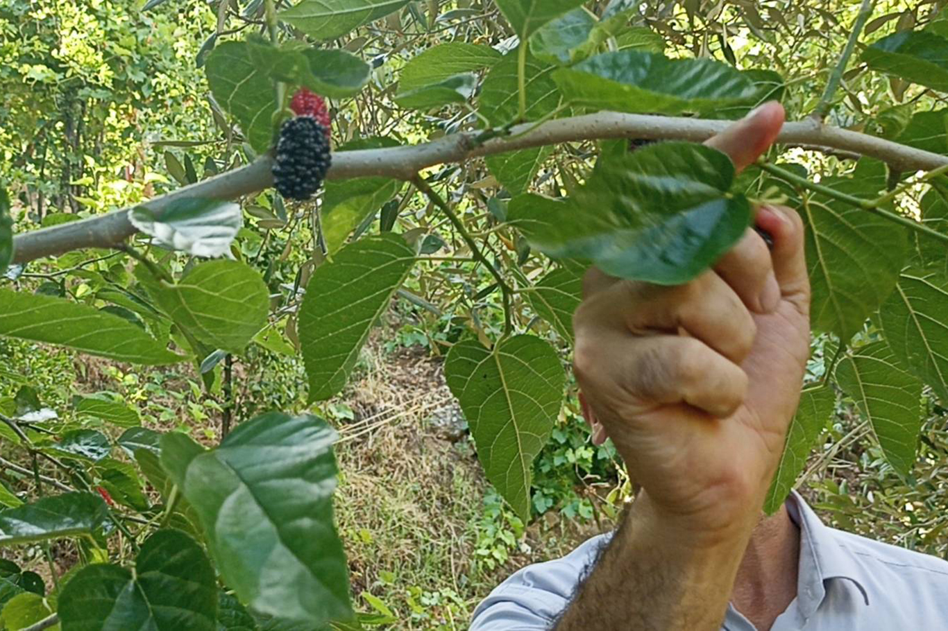 Kuruyan dereler doldu, tabiat yeniden canlandı