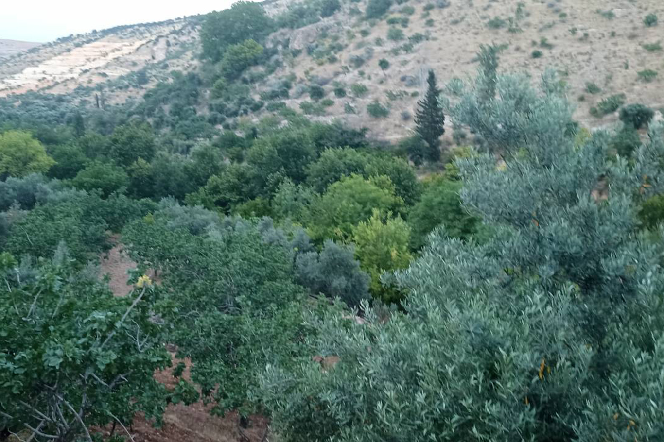 Kuruyan dereler doldu, tabiat yeniden canlandı