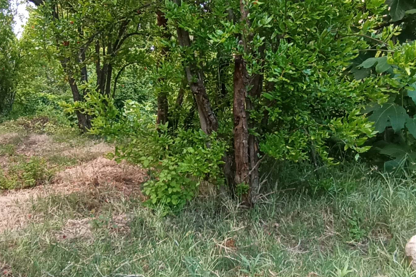 Kuruyan dereler doldu, tabiat yeniden canlandı