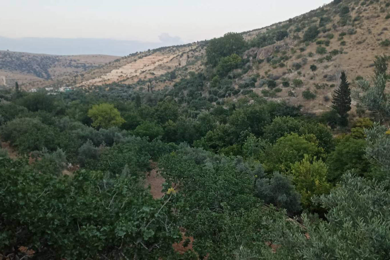 Kuruyan dereler doldu, tabiat yeniden canlandı