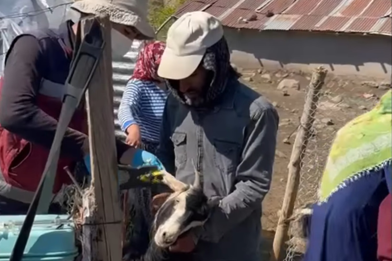 Bingöl’de hayvan sağlığı için coğrafi engeller bile ekipleri durduramadı