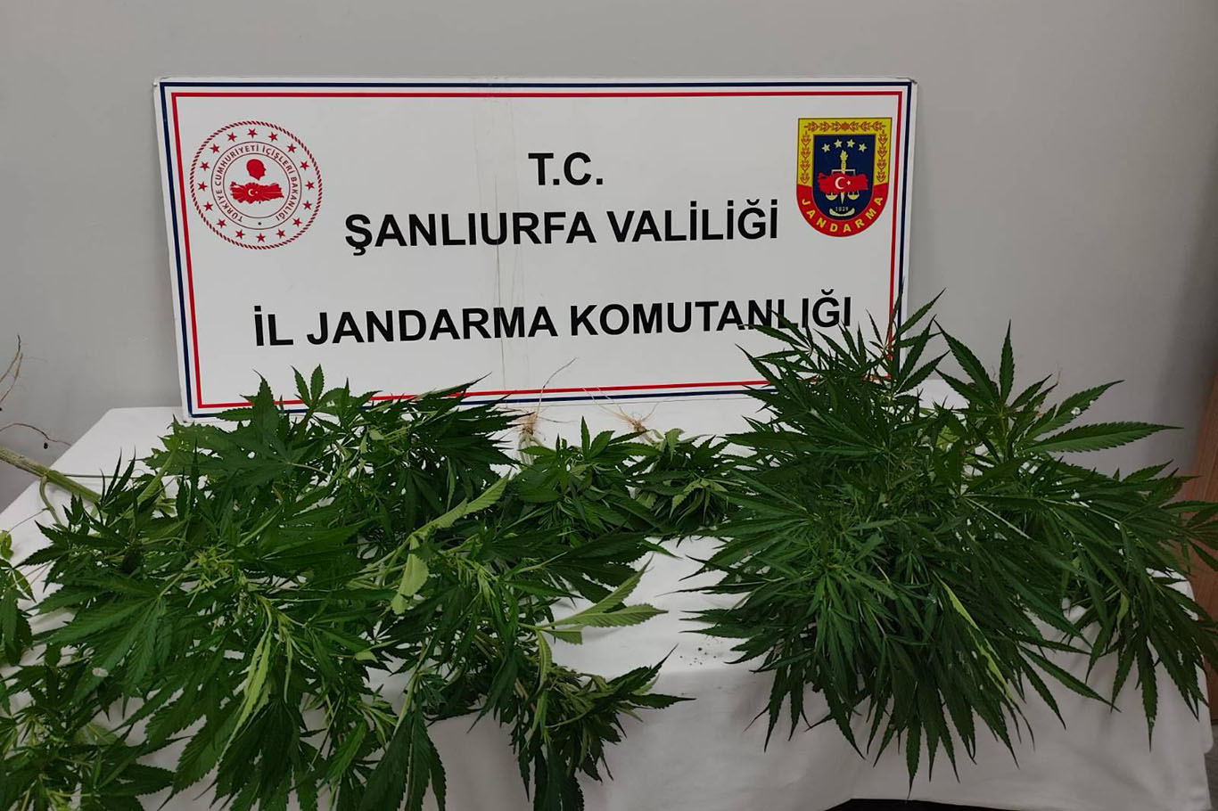 Şanlıurfa’da uyuşturucu operasyonu