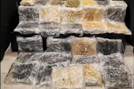 Antalya'da uyuşturucu operasyonu: 34 kilogram skunk ele geçirildi