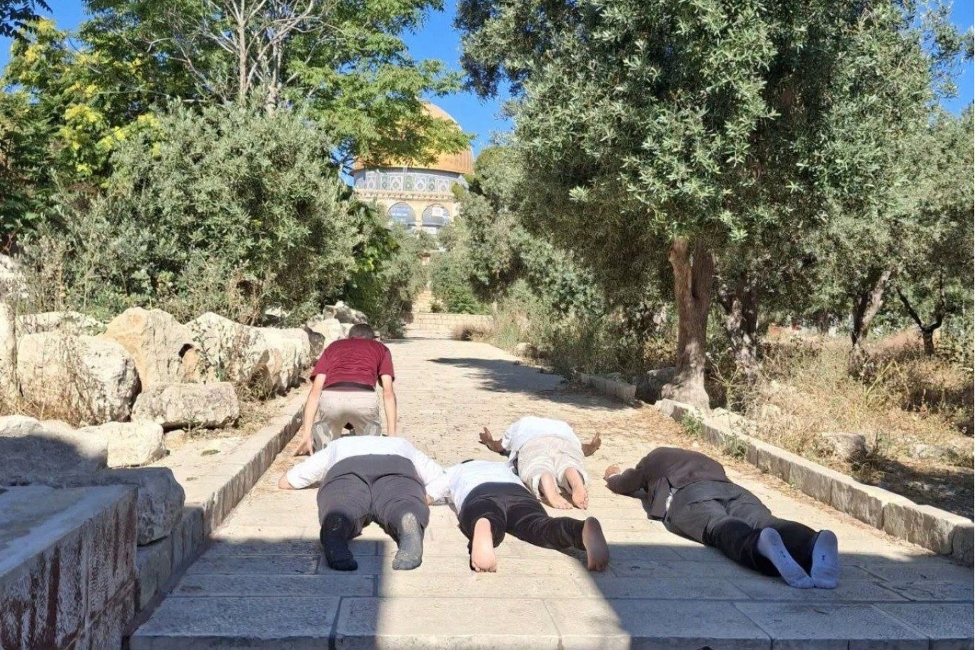 المستوطنون يدنسون المسجد الأقصى مجدداً ويؤدون طقوسهم التلمودية