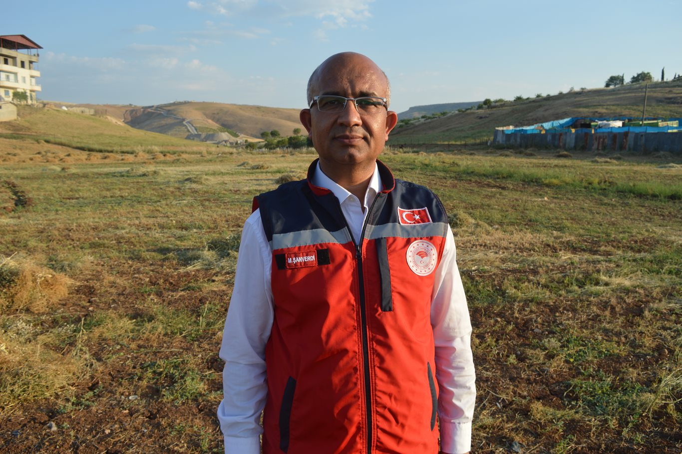 Mustafa ŞYağışlar bereket getirdi: Siirt'te mercimek hasadında yüzler gülüyoranverdi