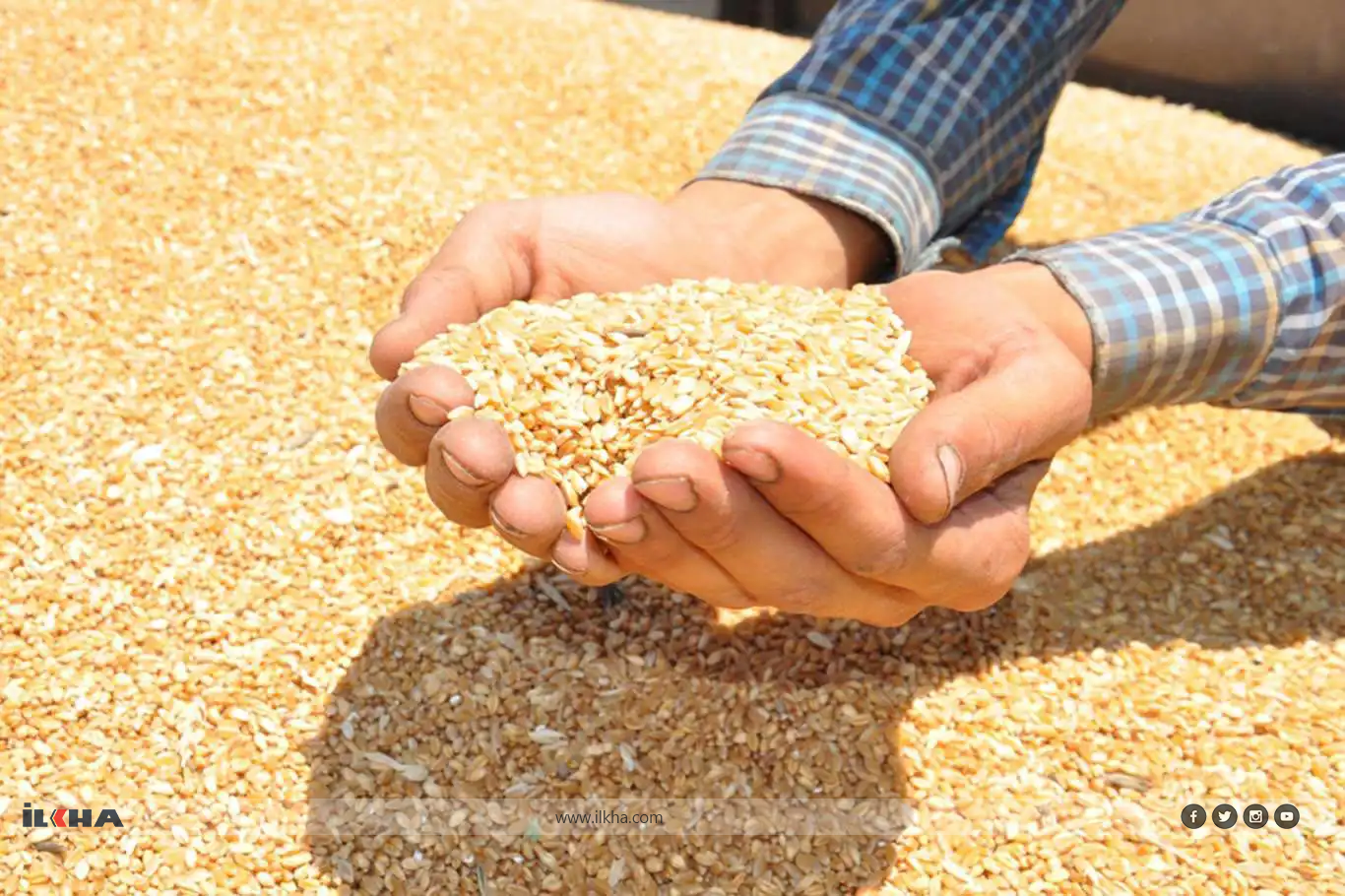 TMO hububat alım günlerini yeniden düzenledi 
