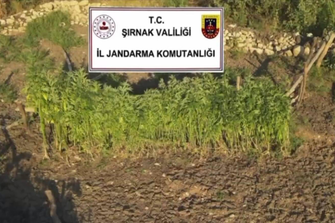 ŞIRNAK'TA JANDARMADAN OPERASYON: 111 GÖZALTI