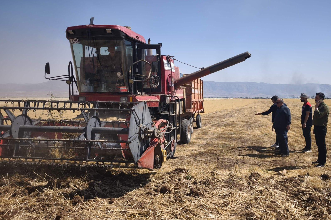 Şırnak’ta atıl araziler TAKE Projesi ile kırmızı mercimek üretimine kazandırıldı