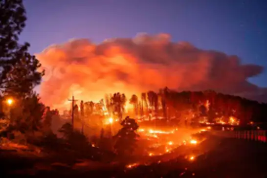Over 8,000 hectares scorched as aggressive wildfire spreads in US state of Utah