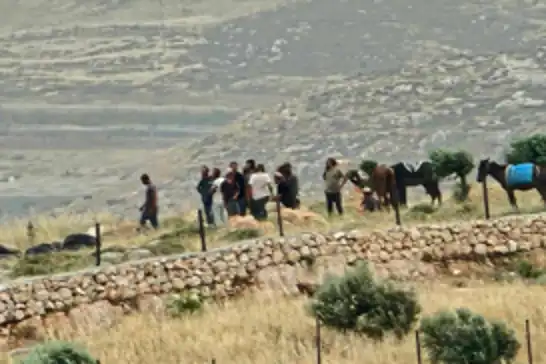 Four Palestinians injured as Israeli settlers attack homes and farmland in West Bank