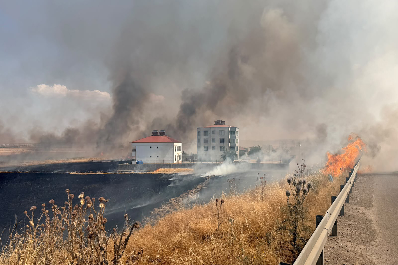 Buğday tarlasında çıkan yangın yerleşim yerine kadar ulaştı