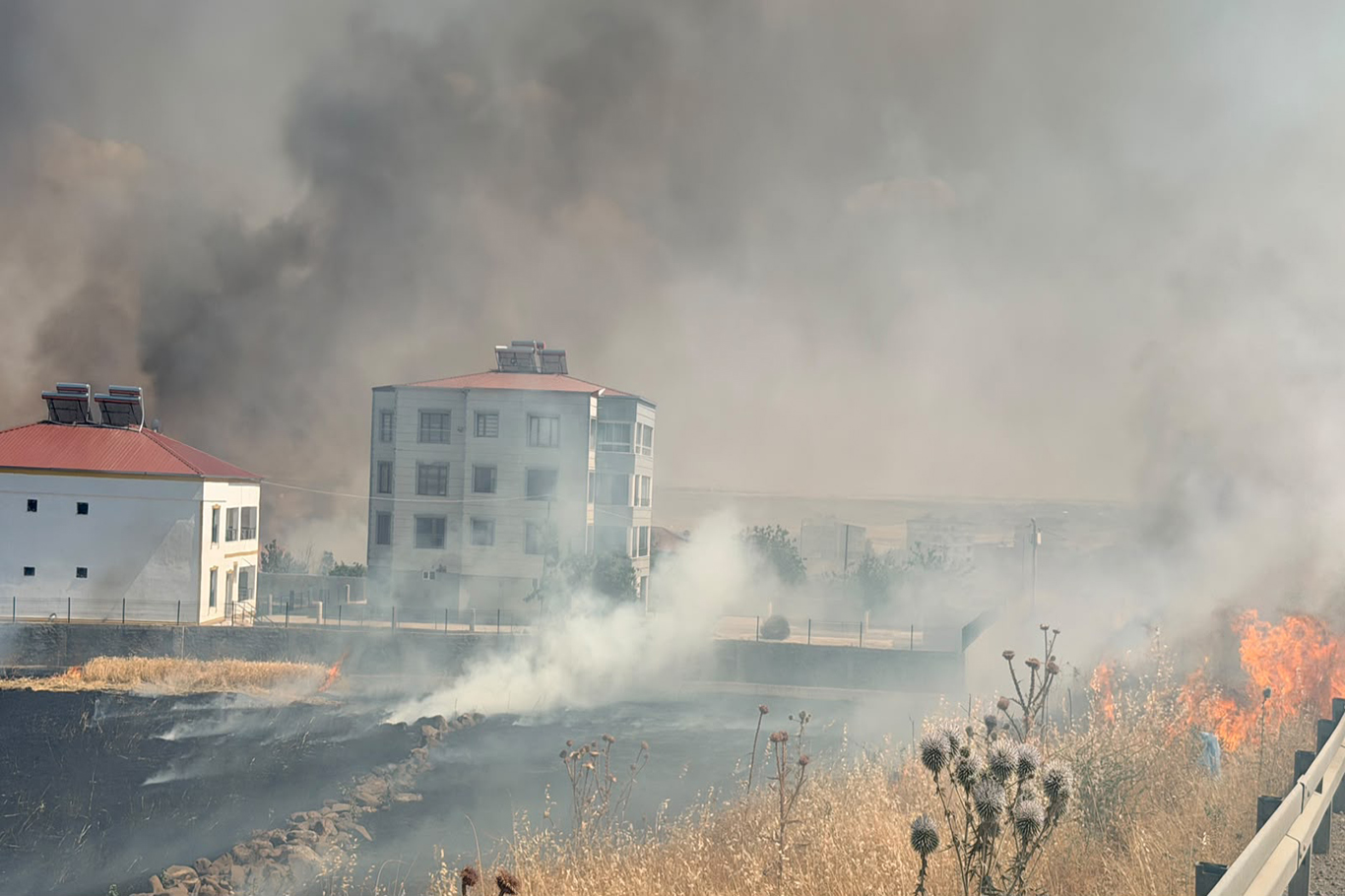 Buğday tarlasında çıkan yangın yerleşim yerine kadar ulaştı