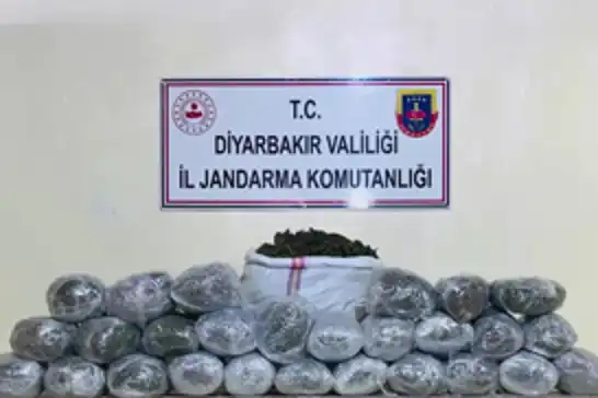 Diyarbakır'da 1 milyon 755 bin kök kenevir ve skunk ele geçirildi